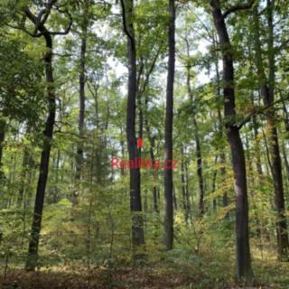 Prodej stavební parcely 3851 m² Hradištko