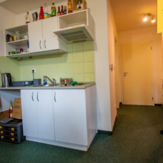 Pronájem bytu 2+kk 42 m² Mladé Buky