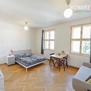 Pronájem bytu 1+kk a garsoniéry 26 m² Praha, Studentská