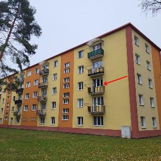 Prodej bytu 3+1 60 m² Šternberk, Nádražní