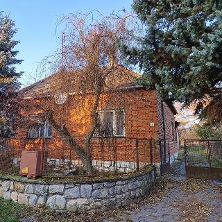 Prodej rodinného domu 90 m² Loučany, 