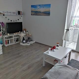 Pronájem bytu 1+kk a garsoniéry 36 m² Kladno, 