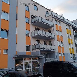 Pronájem bytu 1+kk a garsoniéry 36 m² České Budějovice, Plukovníka Malého