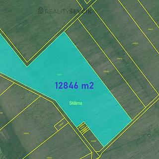 Prodej zemědělské půdy 12846 m&sup2; Chlum u Třeboně