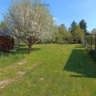 Prodej zahrady 383 m² Planá