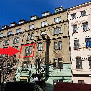 Pronájem bytu 2+kk 55 m² Praha, Jaselská