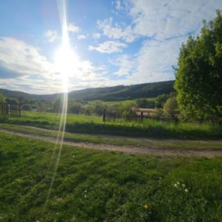 Prodej zahrady 3 906 m² Kalivody