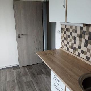 Pronájem bytu 1+kk a garsoniéry 21 m² Bílina, Teplická