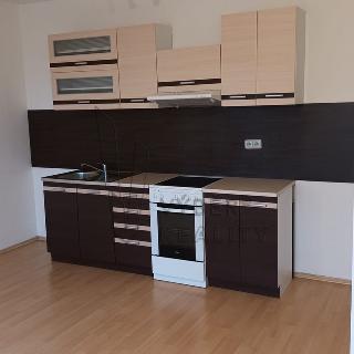 Pronájem bytu 1+kk, garsoniery 35 m² Most