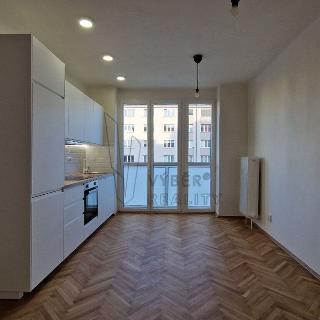 Pronájem bytu 1+1 47 m² Praha, Litevská