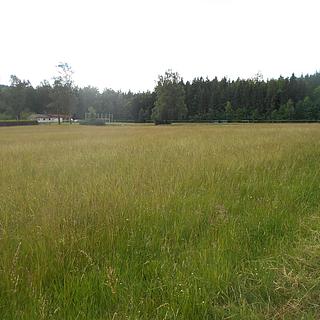 Prodej stavební parcely 3342 m&sup2; Rybniště