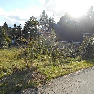 Prodej stavební parcely 980 m&sup2; Dolní Podluží