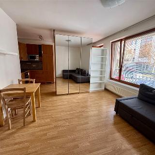 Pronájem bytu 1+kk a garsoniéry 35 m² Praha, Václava Rady