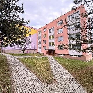 Prodej bytu 3+1 70 m² Budišov nad Budišovkou, Na Sídlišti