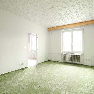 Prodej bytu 2+1 50 m² Mělník