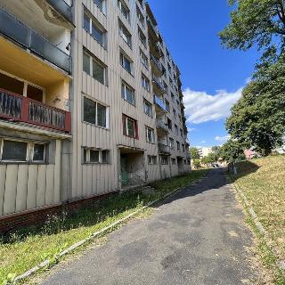 Dražba bytu 2+1 42 m² Rovná