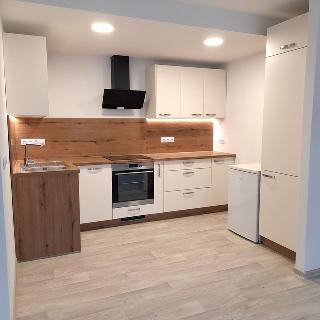 Pronájem bytu 2+kk 52 m² České Budějovice, M. Vydrové