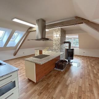 Pronájem bytu 4+kk 119 m² České Budějovice, Čéčova