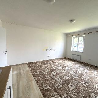 Pronájem bytu 1+kk a garsoniéry 34 m² Kaplice, Tržní