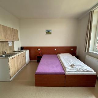 Pronájem bytu 1+kk, garsoniery 29 m² České Budějovice