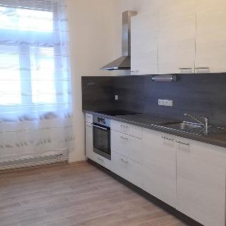 Pronájem bytu 1+1 49 m² České Budějovice, Matice školské