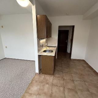 Pronájem bytu 1+kk a garsoniéry 26 m² České Budějovice, Rudolfovská tř.