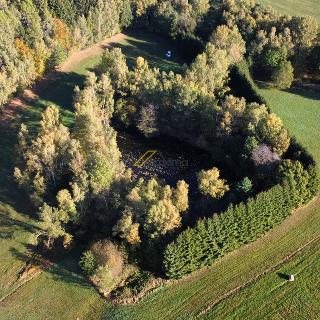 Prodej ostatního pozemku 6 805 m² Benešov nad Černou