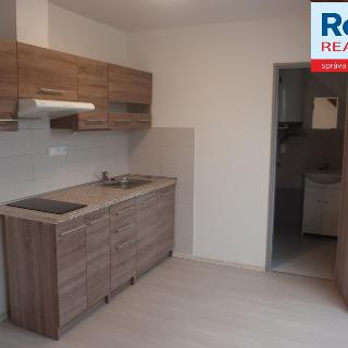 Pronájem bytu 1+kk a garsoniéry 31 m² Liberec, Na Poříčí