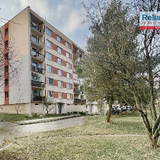 Pronájem bytu 2+kk 36 m² Liberec, Gagarinova