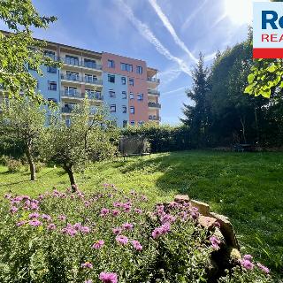 Prodej zahrady 239 m² Liberec, Domažlická