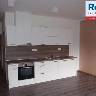 Pronájem bytu 2+kk 52 m² Liberec, Riegrova