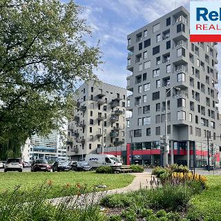 Pronájem bytu 3+kk 65 m² Liberec