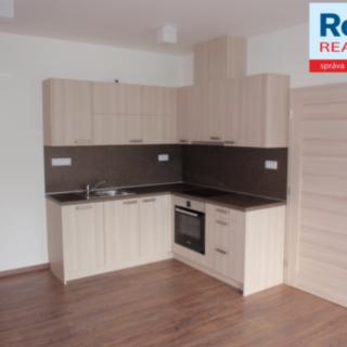 Pronájem bytu 2+kk 44 m² Liberec, Riegrova