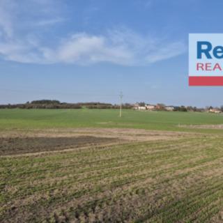 Prodej zemědělské půdy 34 697 m² Krakovany