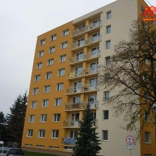 Pronájem bytu 1+kk a garsoniéry 29 m² Česká Skalice, Riegrova