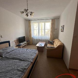 Pronájem bytu 2+kk 50 m² Praha, Šrobárova