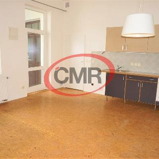 Pronájem bytu 2+kk 52 m² Praha, Ronkova