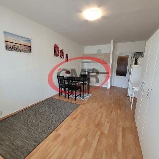 Pronájem bytu 1+kk a garsoniéry 28 m² Praha, Česákova