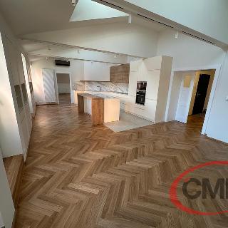 Pronájem bytu 3+kk 135 m² Praha, Budečská