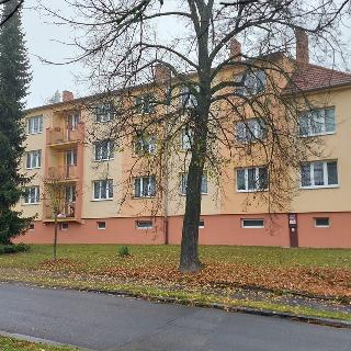 Prodej bytu 2+1 49 m² Milevsko, Čs. armády