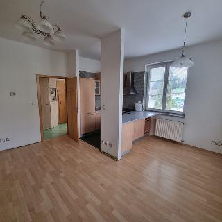 Pronájem bytu 1+1 60 m²