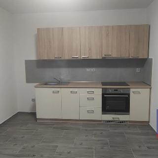 Pronájem bytu 1+1 30 m² Klatovy, Palackého