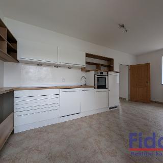 Pronájem bytu 3+1 89 m² Vrhaveč, 