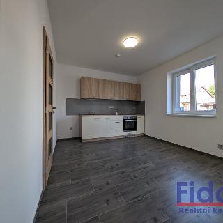 Pronájem bytu 1+1 30 m² Klatovy, Palackého