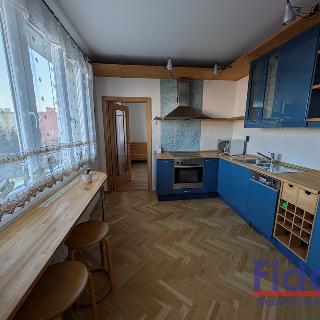 Pronájem bytu 2+1 55 m² Plzeň, Baarova