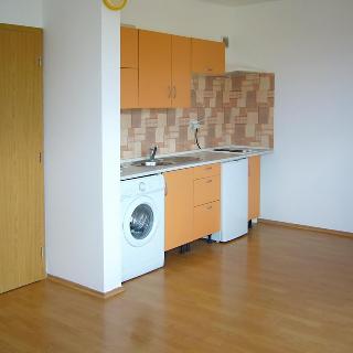 Pronájem bytu 1+kk a garsoniéry 32 m² Brno, Purkyňova