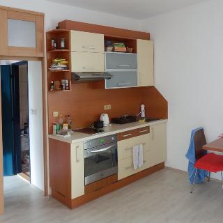 Pronájem bytu 1+kk a garsoniéry 47 m² Brno, Červený kopec