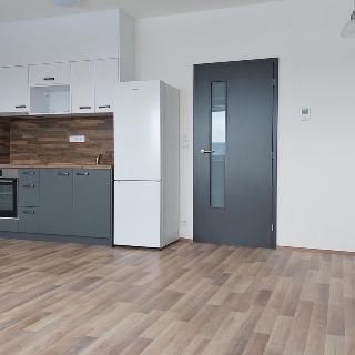 Pronájem bytu 1+kk a garsoniéry 34 m² Brno, Chvalovka