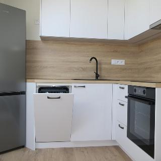 Pronájem bytu 1+kk a garsoniéry 28 m² Brno, Nachová