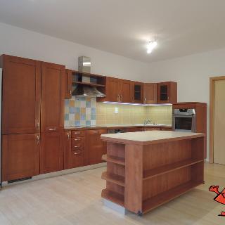 Pronájem bytu 4+kk 107 m² Praha